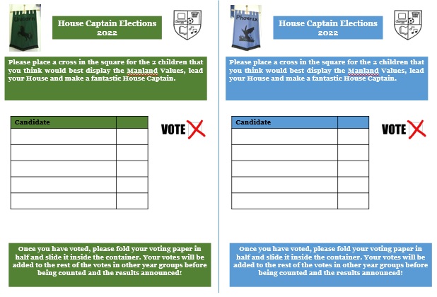 Ballot-papers-blue-and-green Ballot Papers Blue and Green
