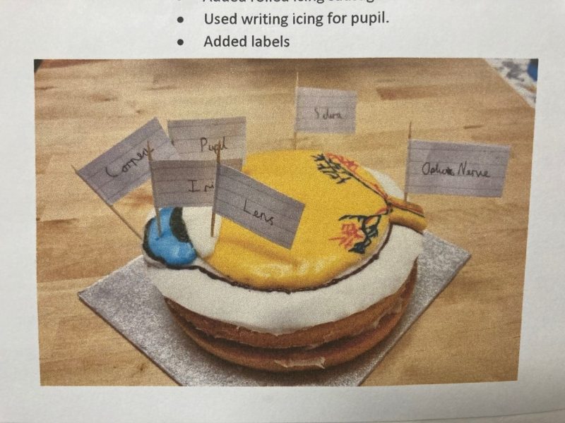 Example-4-e1673718197434-800x600 Homework at Manland