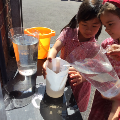 IMG_1191-800x600 Year 2 Summer 2025